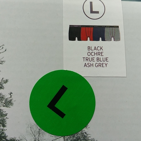 NWT Eddie Bauer 4 Pack Mesh Boxer Briefs Sz Large - Picture 4 of 5